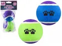 Set of 2 Pet Tennis Balls