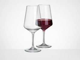 Flamefield Savoy Unbreakable Polycarbonate Large Wine Glass 2 Pack